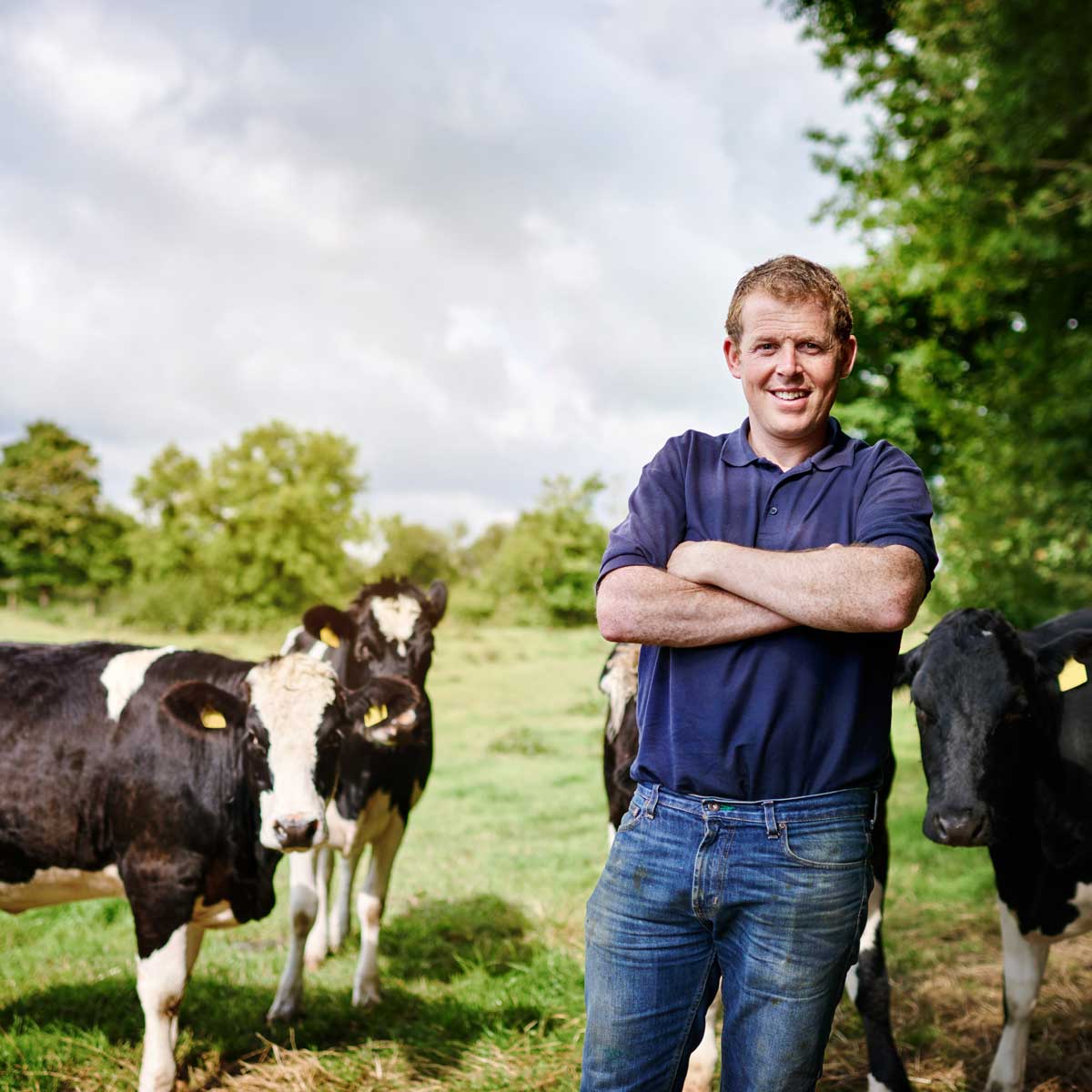 farmer standing in front of his cows